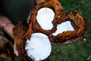 non-dairy milk