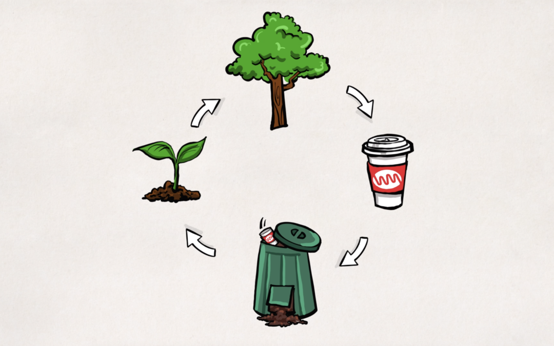 Our Carbon Journey