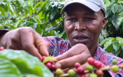 The Journey Behind Our Coffees