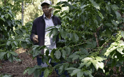 Why Sustainability Matters in Sourcing Coffee – and How Watermark Coffee is Leading the Way